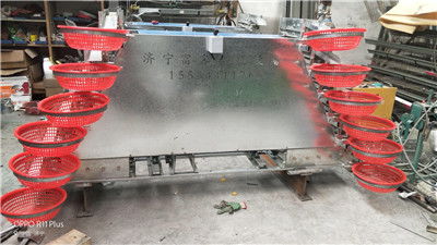 甘肅鵪鶉養(yǎng)殖設(shè)備選購(gòu)指南 專(zhuān)業(yè)廠家與籠具技術(shù)解析